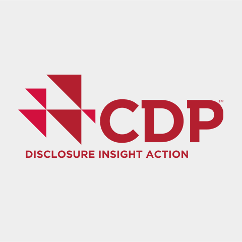 Logo von CDP